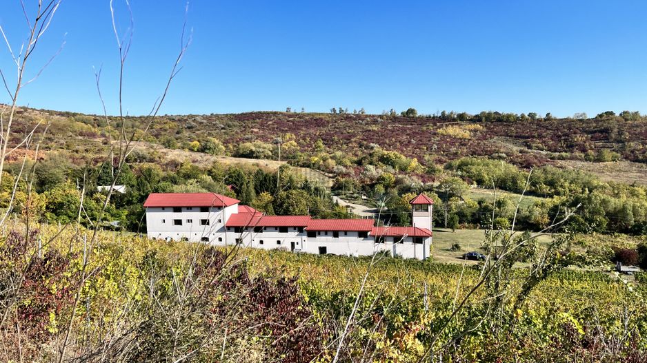 14Ha podgorie, livada pomi fructiferi, si conac 3000mp - Poză 1