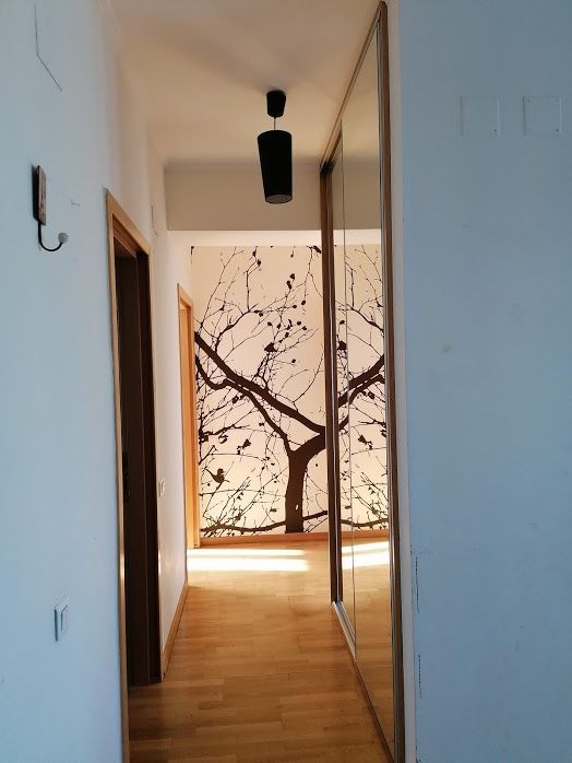 Apartament 3 camere Kiseleff, parcare subterană, vedere parc, bloc 2011 - Poză 11