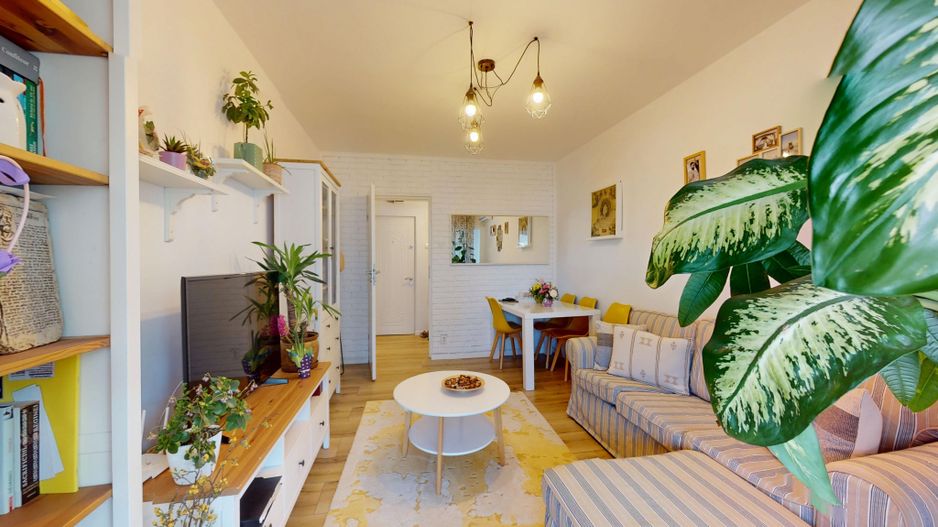 Apartament 3 camere Lacul Tei Doamna Ghica - Poză 2