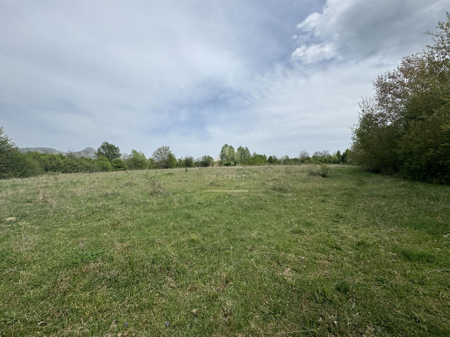 TEREN INTRAVILAN, 7472 MP, VALEA MARE PRAVAT, ARGES - Poză 11