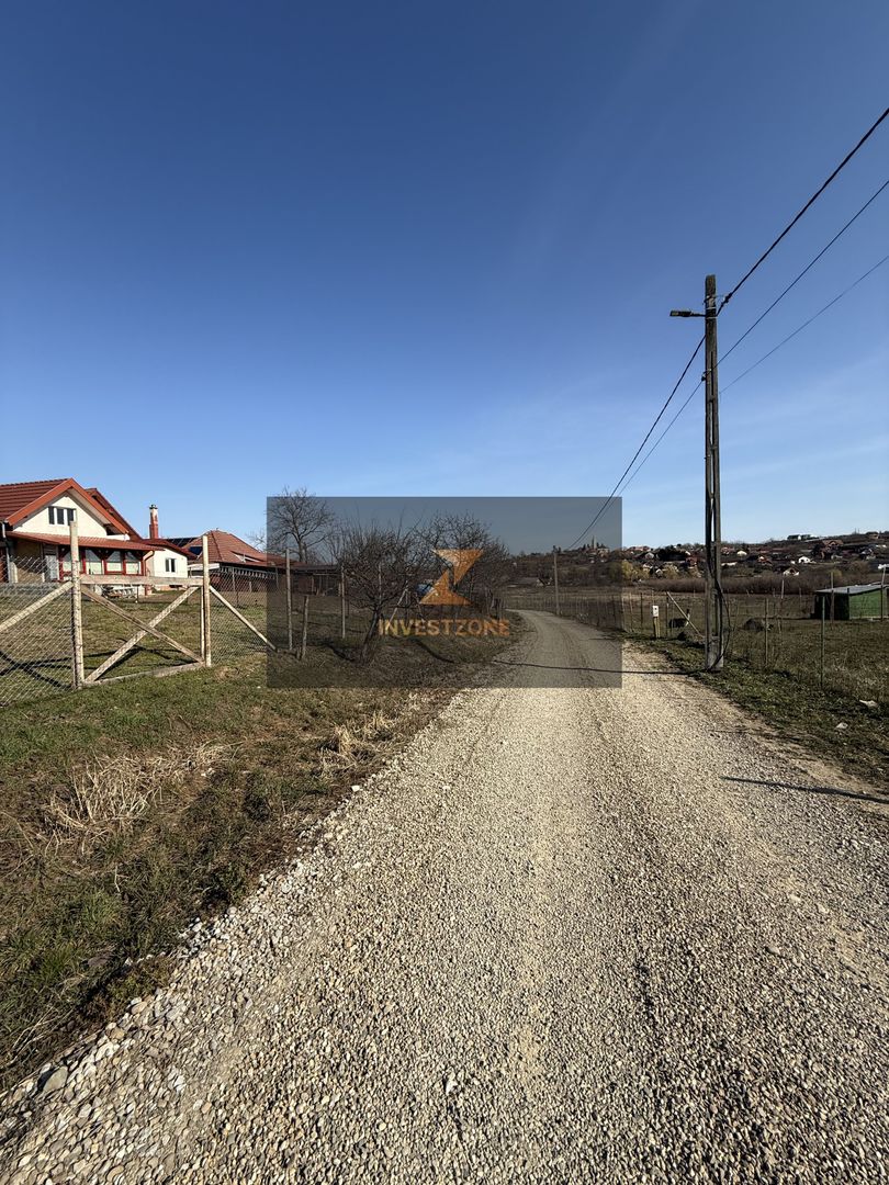Teren intravilan 700 mp cu utilități în Paleu - Poză 5