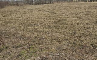 Teren intravilan de vanzare, 3160 mp, strada Garii, sat Hodora, comuna Cotnari - Poză 4