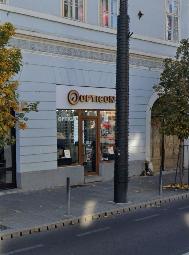 Inchiriere spatiu comercial, 60 mp, Regele Ferdinand - Poză 3