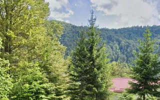 Casa de vacanta la liziera padurii cu vedere libera catre muntii Bucegi - Poză 17