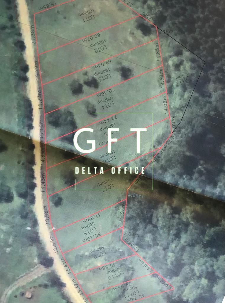 Teren zona drumul Tarpiului , doua parcele - Poză 3