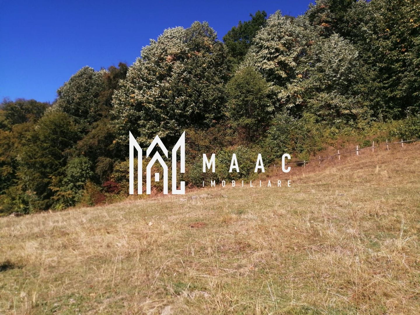 Teren Extravilan 20.000Mp I Stoenești -Vâlcea I Apă Curentă și Pădure - Poză 14