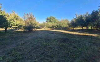 Vând Teren Horlesti-Rediu - Poză 1