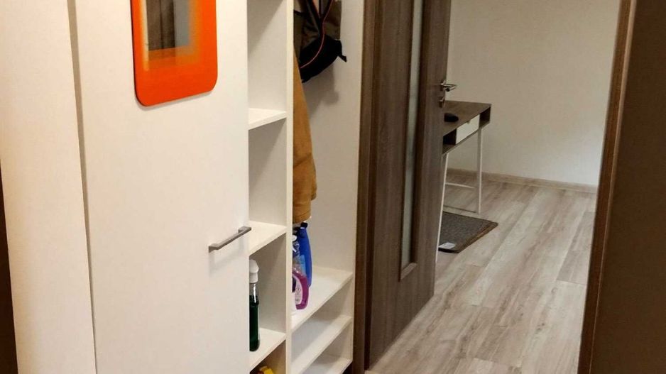 AP. 2 CAMERE TEIUL DOAMNEI, PET-FRIENDLY,REABILITAT, BUCATARIE INCHISA - Poză 7