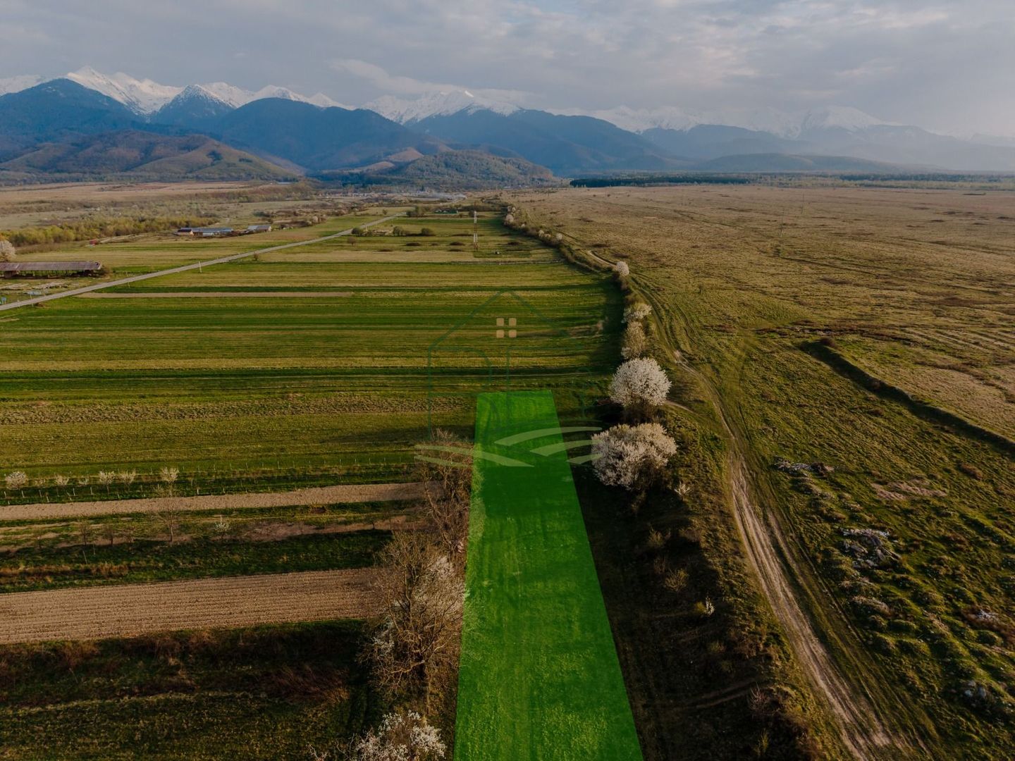 Teren extravilan 1662 mp – Cârțișoara | Vedere superbă Munții Făgăraș - Poză 1