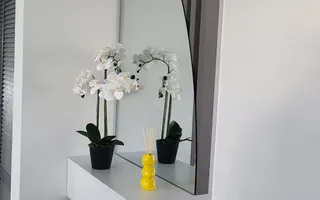 De inchiriat apartament cu 2 camere la Papadie, etaj 3, renovat, 550 E - Poză 18