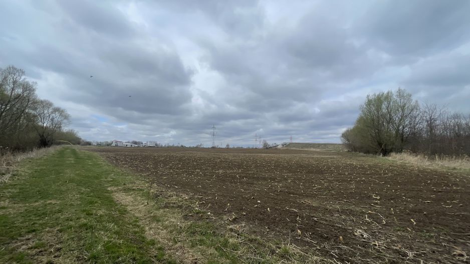 TEREN INTRAVILAN | 50 ARI | ZONA PERIFERICA RADAUTI - Poză 4