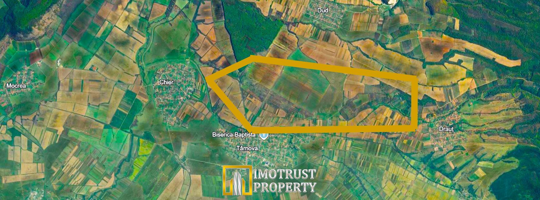 Teren agricol de vanzare în Tarnova Arad – 3,78 ha – loturi mici - Poză 3