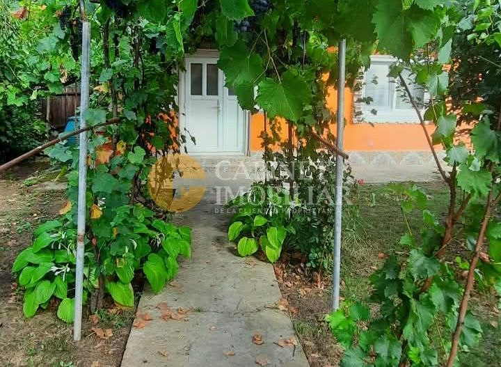 🏡 CASĂ BĂTRÂNEASCĂ LOCUIBILĂ DE VÂNZARE – TRIFEȘTI, IAȘI 🏡 - Poză 4