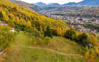 In arena Parcului Natural Piatra Craiului, Magura, Moieciu, Brasov - Poză 9