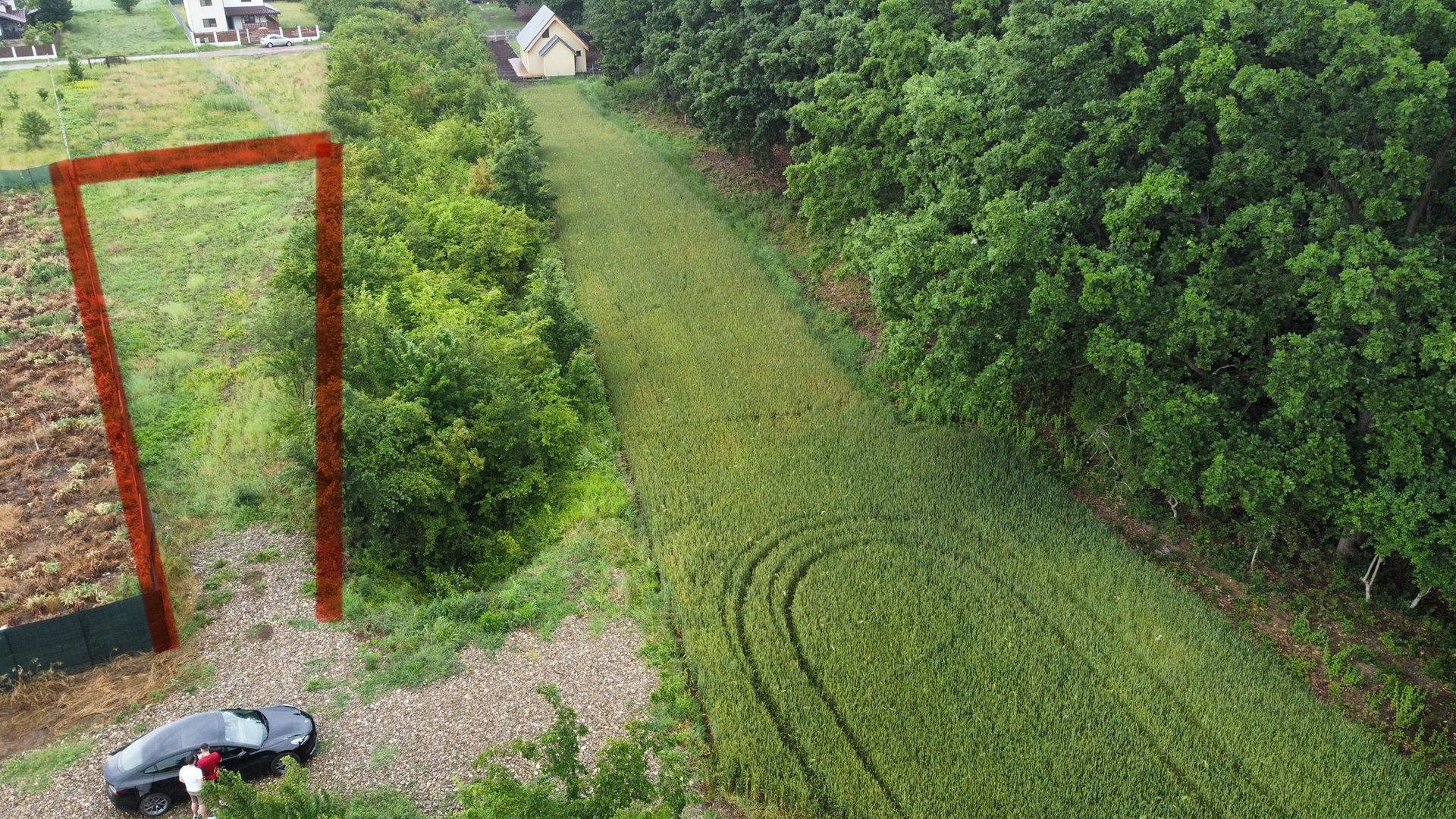 Teren superb Moara Vlasiei - langa padure (COMISION ZERO) - Poză 5