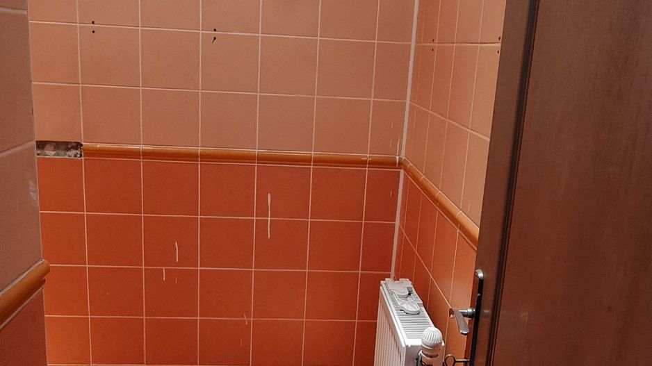 Casă P+M, 4 camere, str Lebedei, singur in curte - 600 E. Comision 0 - Poză 19