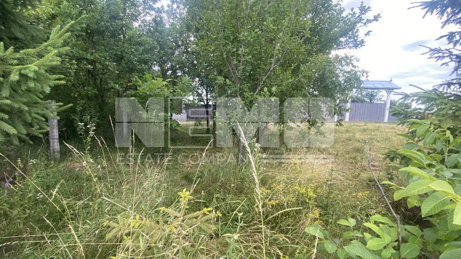 Teren Intravilan | 20 Ari | Frătăuții Noi - Poză 3