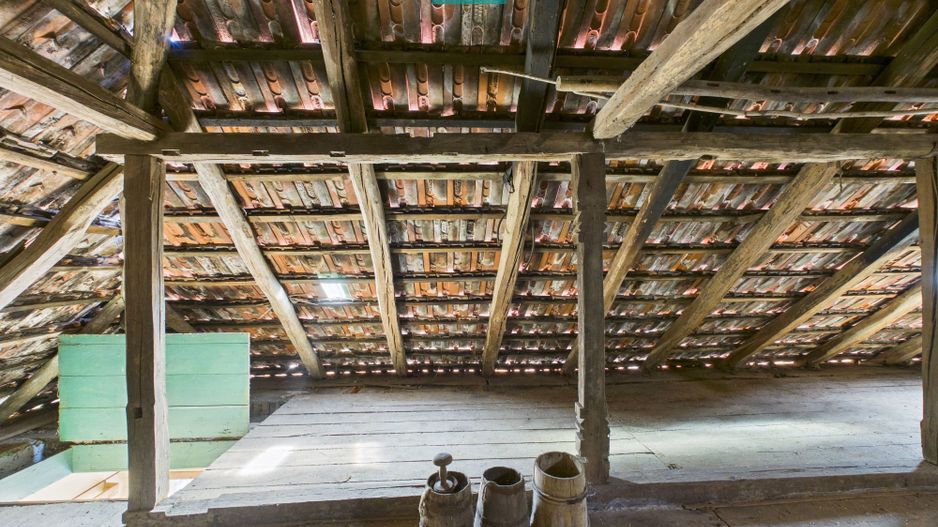 Proprietate rară cu 24.270 mp, în Măgulicea, Arad! - Poză 39