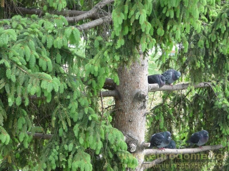 Exclusivitate garsoniera pretabila investitie, bloc de apartamente - Poză 11