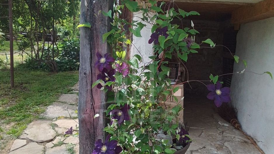 Casa Saseasca de vanzare  in  Somartin  / Comision O % - Poză 12