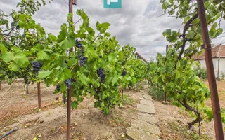 Casă solidă în Curtici cu teren de 1166 mp - Poză 33