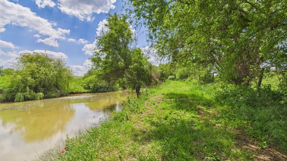 Teren cu baltă- oportunități multiple la Fibiș - Poză 40