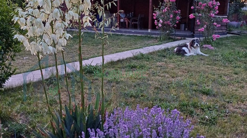 Casă P+E, construită 2018, teren 1500 mp, mobilată complet – Valea Lupului - Poză 7