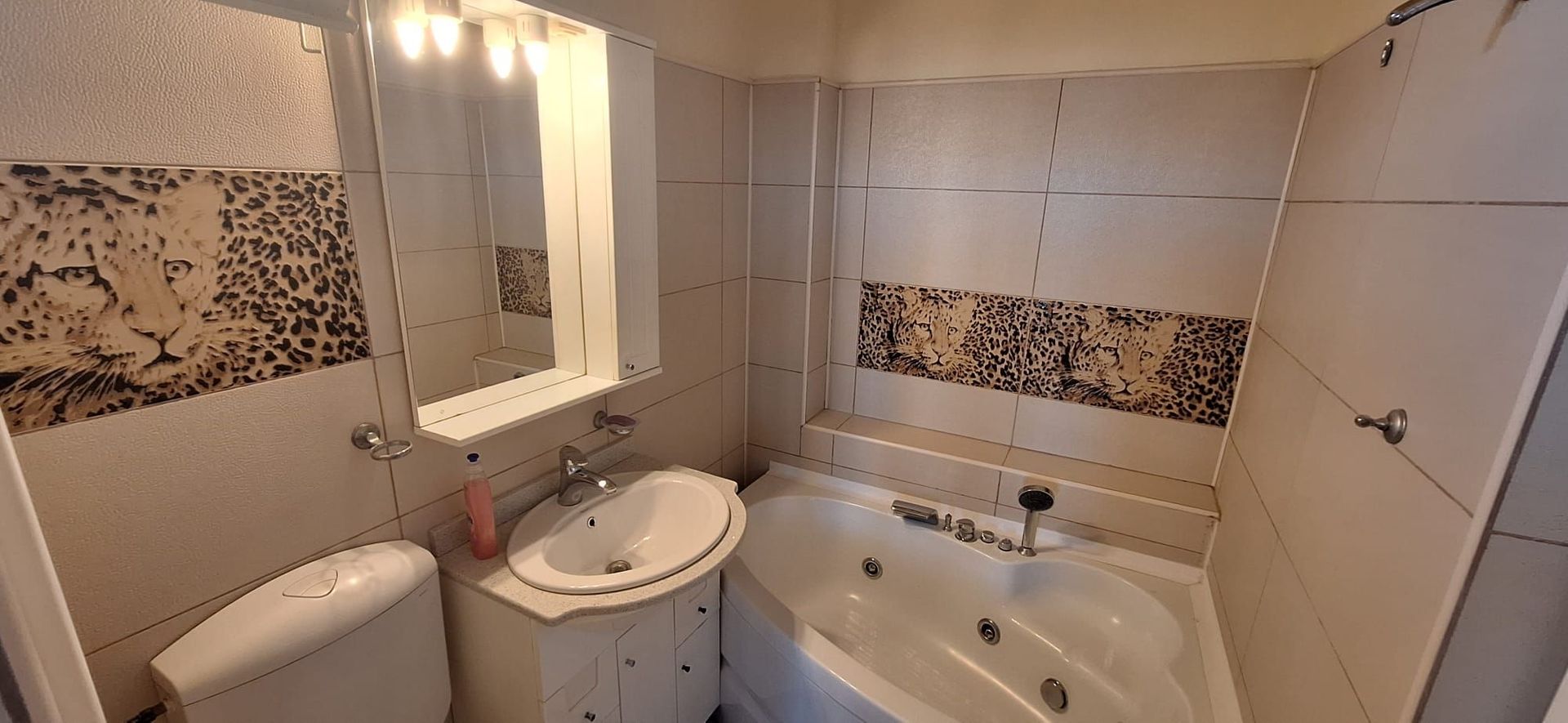 Apartament 3 camere plus tarasa Stradal P-ta Romana - Magheru - Poză 6