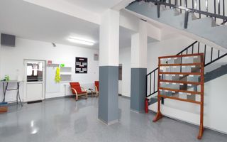 Inchiriere Spații de Birouri/Producție - Str. Uzinei - Carei - Comision 0% - Poză 7