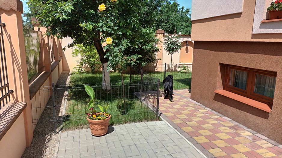 Ag EUROPA vinde casa individuala zona TITULESCU - Poză 3