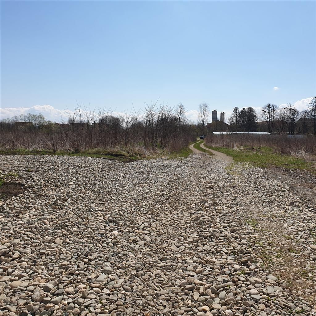5.000 mp intravilan, parcelabil, Halchiu, Brasov - Poză 4