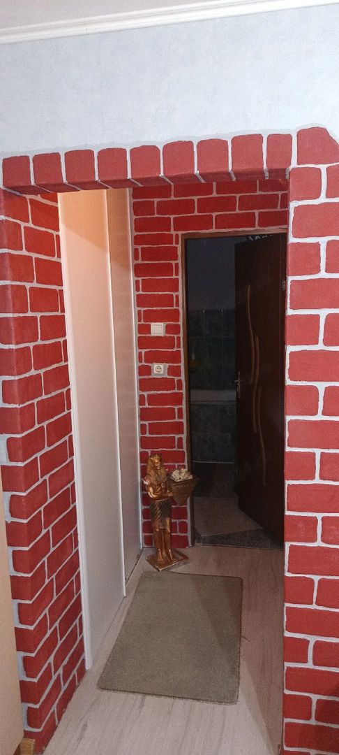 BRASADAS vinde ap 2 cam la PARTER in Micro 16. - Poză 2