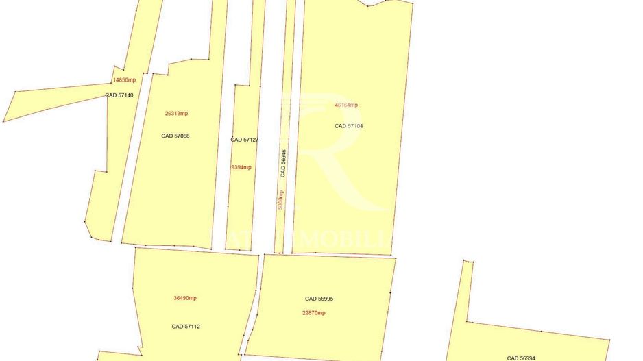 Teren agricol 19,87ha | Acces la drum public | Tileagd | Bihor - Poză 2