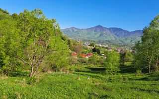 Teren extravilan de vanzare, Bistrita Bargaului- 10 minute de Colibita - Poză 3