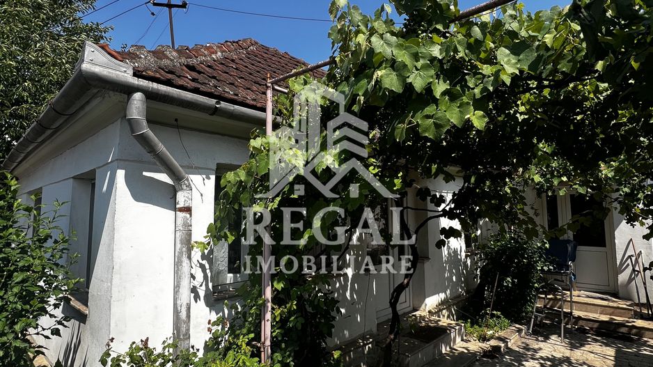 Casă de vânzare în Peștișu Mare – garaj și toate utilitățile - Poză 3