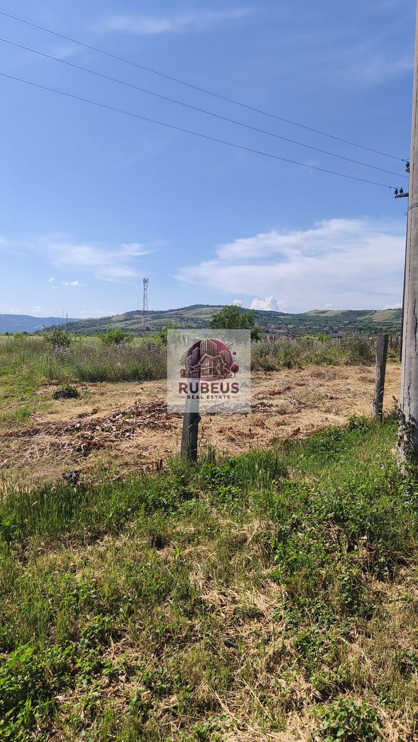 Teren intravilan 12.003 mp pentru cartier de case - Poză 19