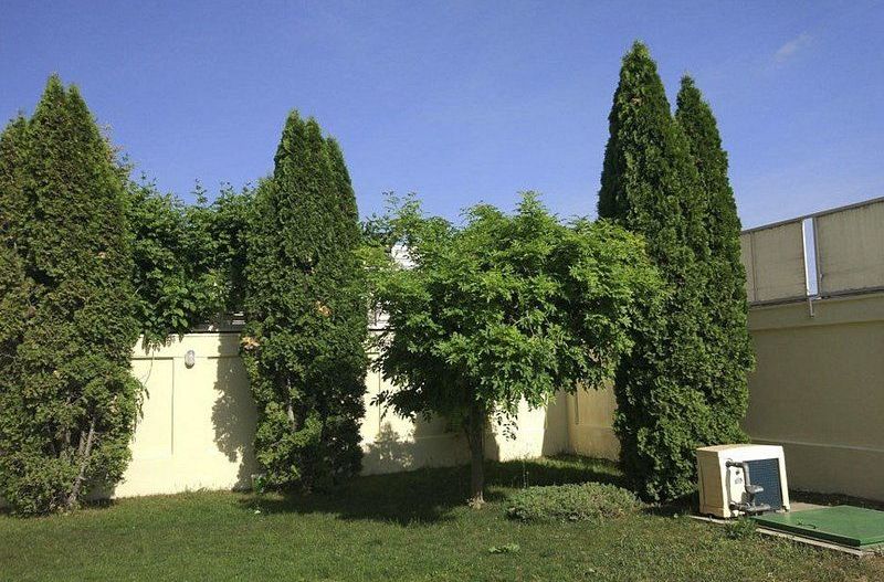 Villa for rent | 10 rooms | Pipera - Poză 2