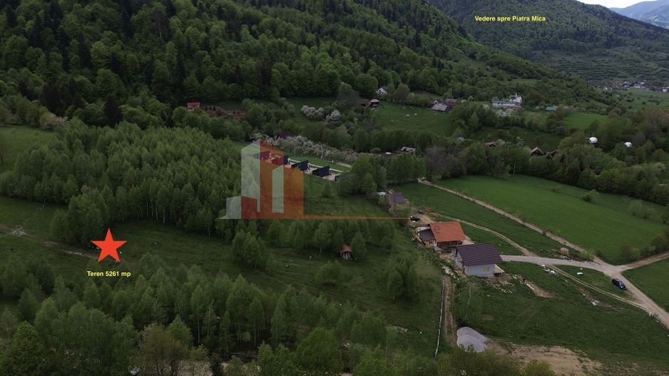 Teren intravilan 5.261 mp Tohănița | Deschidere 49 m | Utilități, lângă pădure - Poză 6
