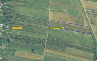 Teren intravilan 7.545 mp în ideal rezidențial sau hale - Poză 3