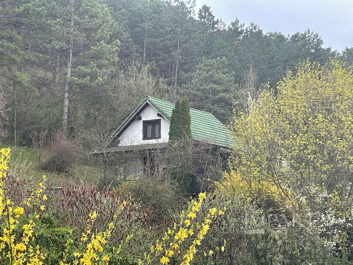 Cabana din lemn cu panorama superba asupra Florestiului - Poză 2