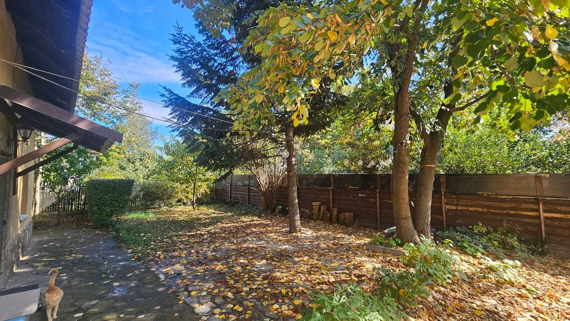 Casă și teren mare, cu ieșire la lac, lângă Mănăstirea Rebegești Crevedia - Poză 6