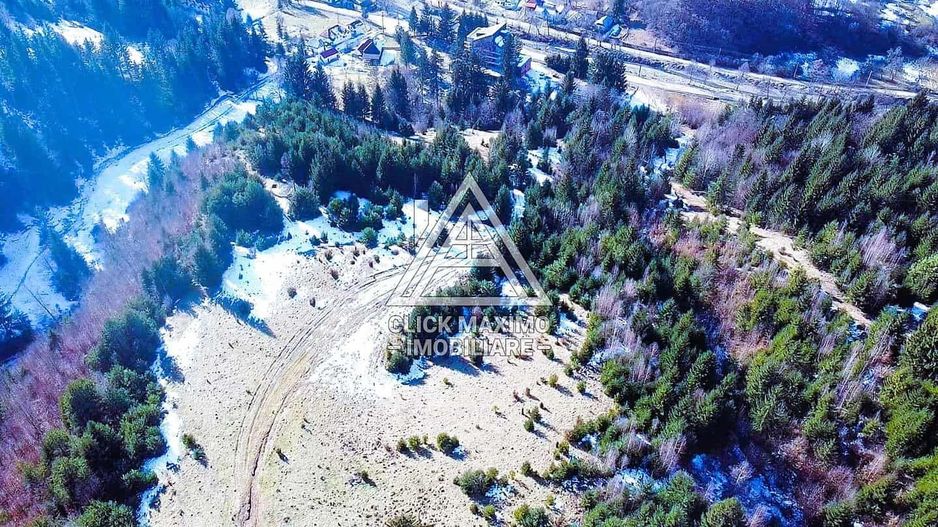 Teren 8 ha cu 15 izvoare minerale, lângă Câmpulung Argeș - Poză 3