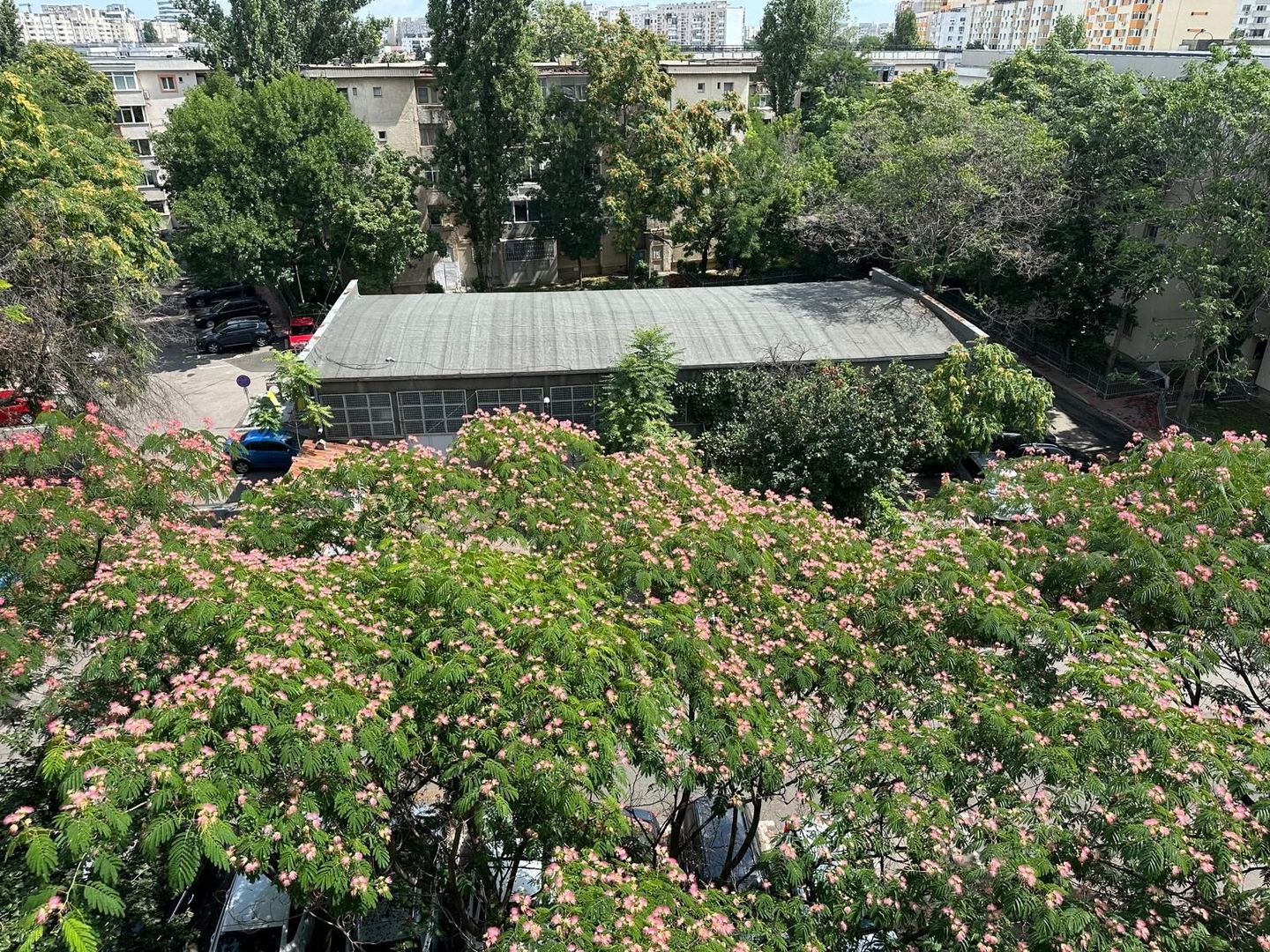 3 cam de iinchiriat Piata Alba Iulia - Poză 2