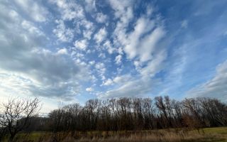 TEREN INTRAVILAN GENEROS | 72 ARI | GALANESTI - Poză 10