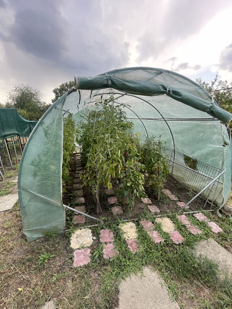 Casa | 9 camere | Garaj | Piscina | Teren 3.000 mp | Comision 0% - Poză 41