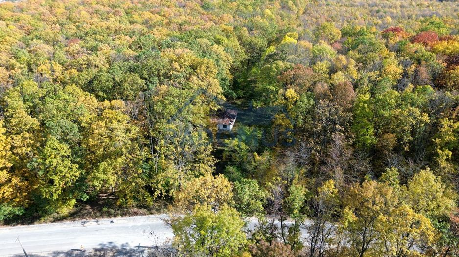 TEREN INTRAVILAN ÎN PĂDURE LA VĂRBILA - PRAHOVA – COMISION 0% - Poză 7