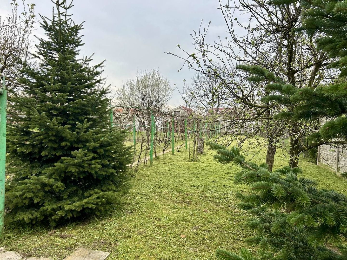 TEREN GENEROS 1000 MP - Poză 3