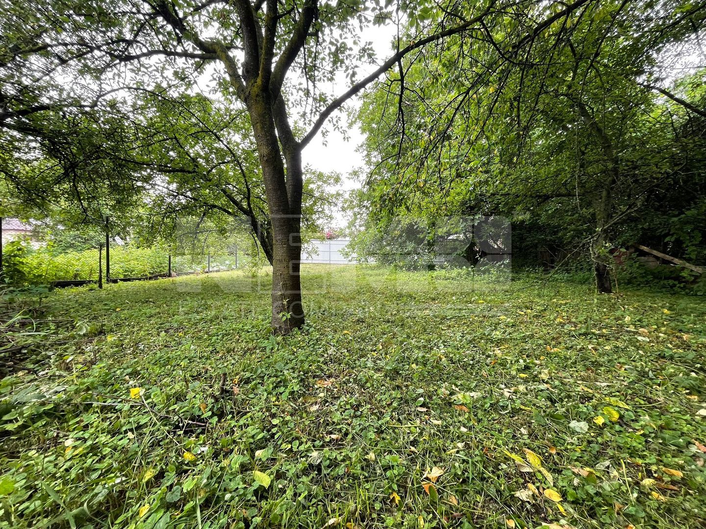Teren intravilan | Zamca, Suceava | 243.000 Euro - Poză 15
