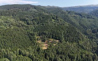 18000 mp de natura pura ,Lupeni, langa Straja - Poză 20