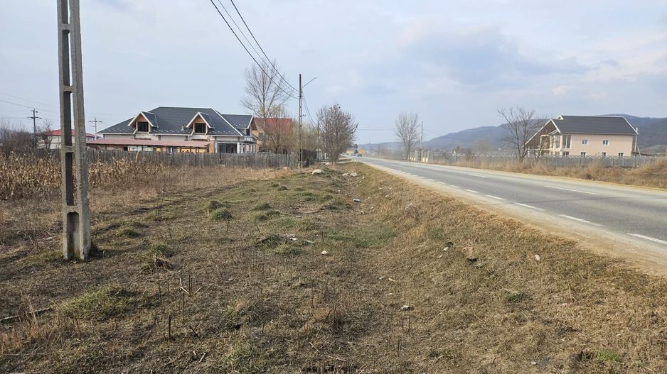 SUPEROFERTA !!! Teren 8000 mp,  Merisani, langa DN si Autostrada - Poză 2